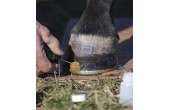 Hawthorne Equin Hoof Sealant S Pak